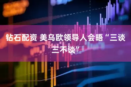 钻石配资 美乌欧领导人会晤“三谈三不谈”